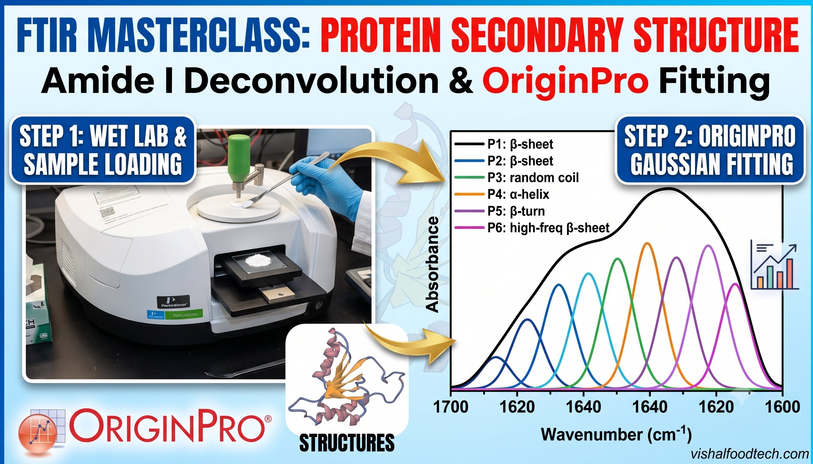 FTIR Protein Secondary Structure Analysis using OriginPro Gaussian Peak Deconvolution